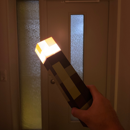 Pixel Torch - Minecraft dallo schermo alla realtà