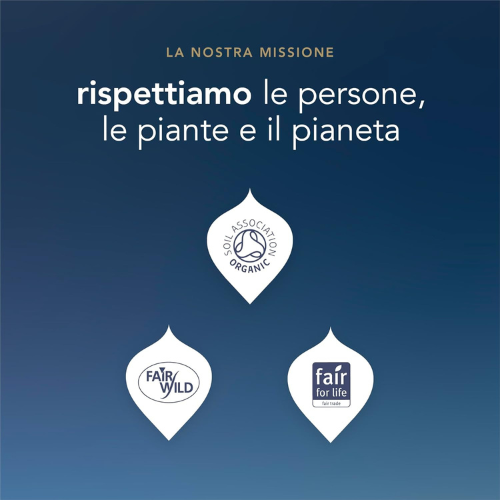 Selezione di Tisane Erboristiche Bio per Ogni Momento
