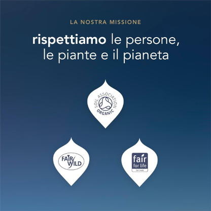 Selezione di Tisane Erboristiche Bio per Ogni Momento