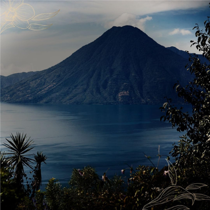 Rum Guatemalteco Invecchiato di Alta Qualità con Confezione Regalo