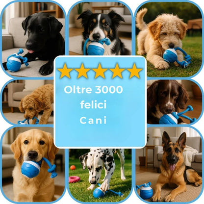 Palla ai lamponi - Giocattolo interattivo per cani
