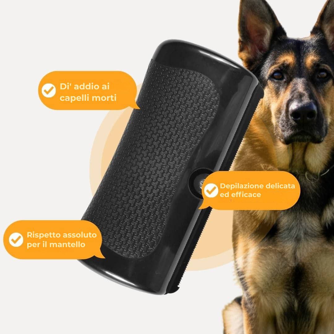 Spazzola per cani